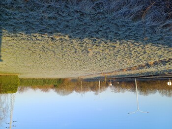 20250203_092931.jpg